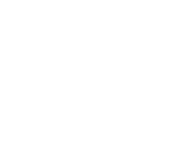 BitRiot Media